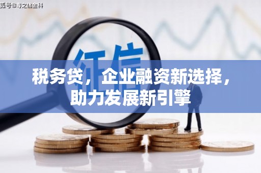 大城税务贷，企业融资新选择，助力发展新引擎