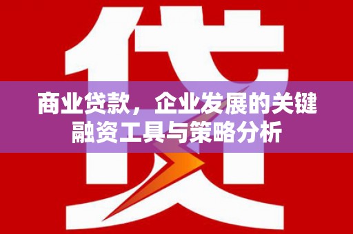 板桥商业贷款，企业发展的关键融资工具与策略分析