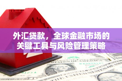 梓官外汇贷款，全球金融市场的关键工具与风险管理策略