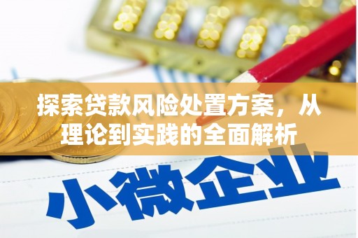 天元探索贷款风险处置方案，从理论到实践的全面解析