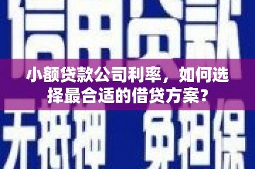 海港小额贷款公司利率，如何选择最合适的借贷方案？