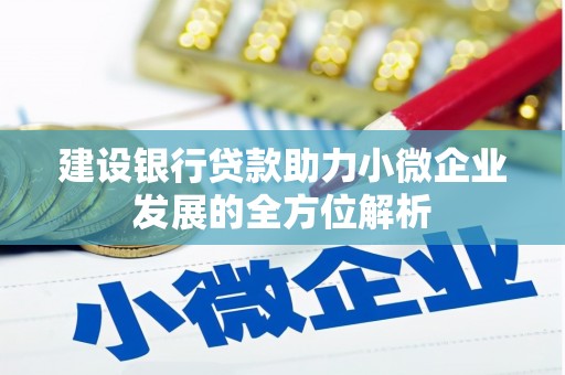 仑背建设银行贷款助力小微企业发展的全方位解析