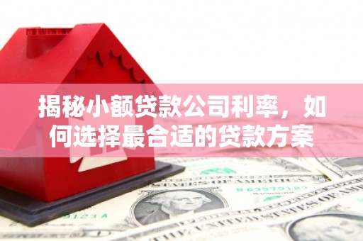 濮阳揭秘小额贷款公司利率，如何选择最合适的贷款方案