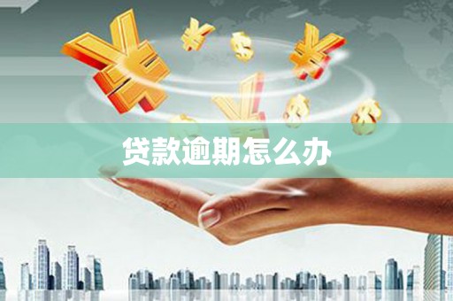 珠晖贷款逾期怎么办