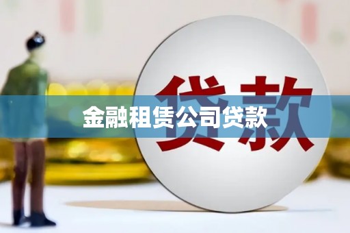河池金融租赁公司贷款