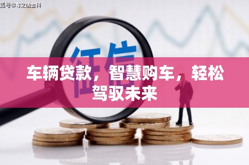 阜沙车辆贷款，智慧购车，轻松驾驭未来