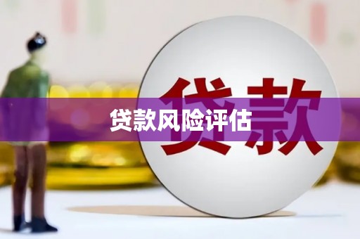环江贷款风险评估