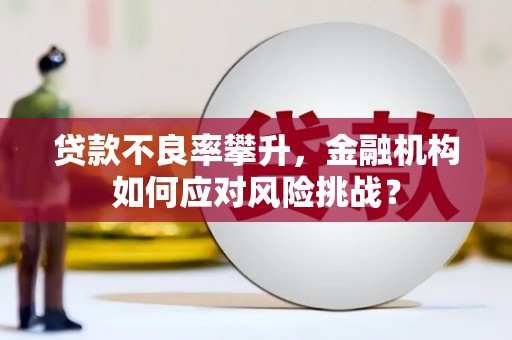 芒市贷款不良率攀升，金融机构如何应对风险挑战？