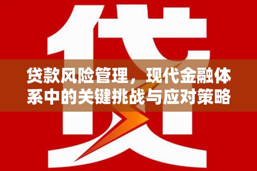 霍城贷款风险管理，现代金融体系中的关键挑战与应对策略