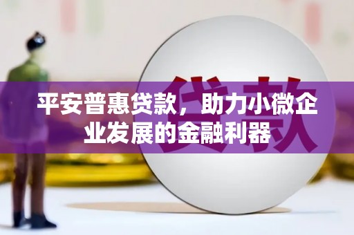 南皮平安普惠贷款，助力小微企业发展的金融利器