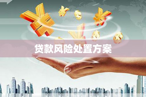 宣城贷款风险处置方案