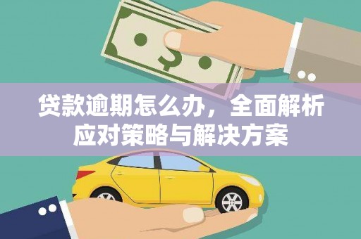 曾都贷款逾期怎么办，全面解析应对策略与解决方案