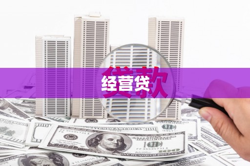 桦南经营贷