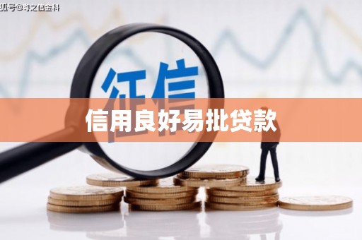 金峰信用良好易批贷款