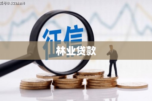 贵德林业贷款