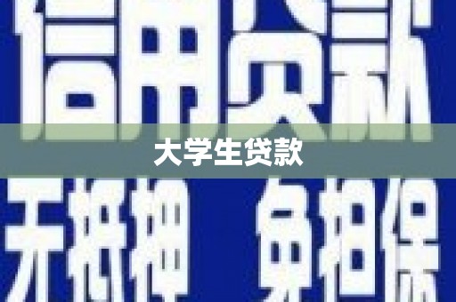 民和大学生贷款
