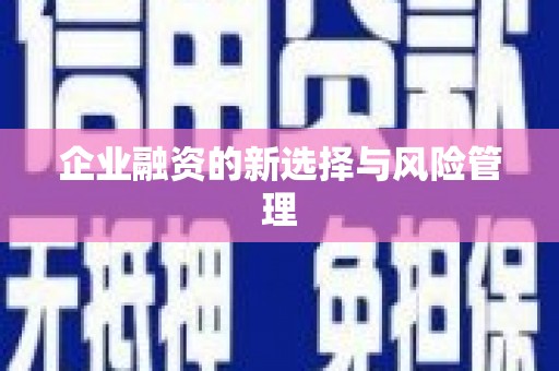 桑日企业融资的新选择与风险管理