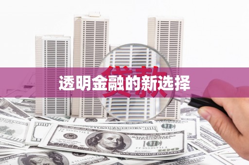 冬山透明金融的新选择